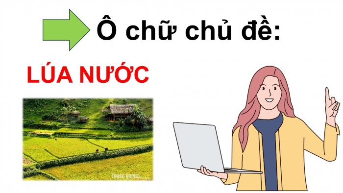 Giáo án điện tử Lịch sử 10 cánh diều Thực hành Chủ đề 5