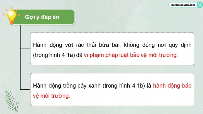 Giáo án điện tử Quốc phòng an ninh 11 kết nối Bài 4: Một số vấn đề về vi phạm pháp luật bảo vệ môi trường