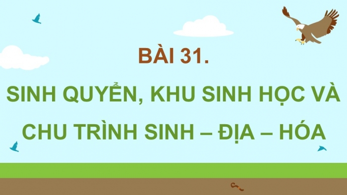 Giáo án điện tử Sinh học 12 kết nối Bài 31: Sinh quyển, khu sinh học và chu trình sinh – địa – hoá