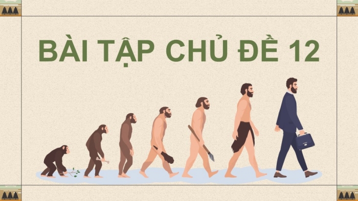 Giáo án điện tử KHTN 9 cánh diều - Phân môn Sinh học Bài tập (Chủ đề 12)