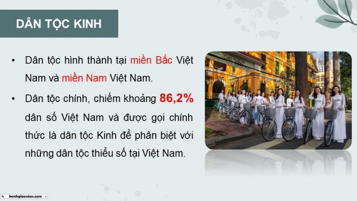 Giáo án điện tử Lịch sử 10 cánh diều Bài 14: Các dân tộc trên đất nước Việt Nam (P1)