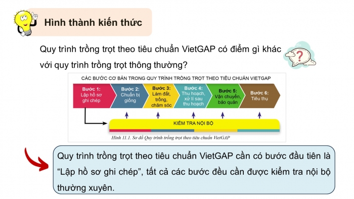 Giáo án điện tử chuyên đề Công nghệ trồng trọt 10 cánh diều Bài 11: Quy trình trồng trọt theo tiêu chuẩn VietGAP