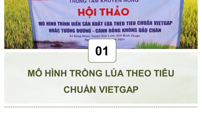 Giáo án điện tử chuyên đề Công nghệ trồng trọt 10 cánh diều Bài 12: Một số mô hình trồng trọt theo tiêu chuẩn VietGAP