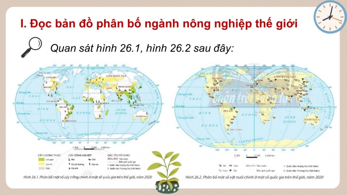 Giáo án điện tử địa lí 10 chân trời bài 28: Thực hành tìm hiểu sự phát triển và phân bố ngành nông nghiệp, lâm nghiệp, thủy sản