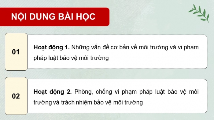 Giáo án điện tử Quốc phòng an ninh 11 kết nối Bài 4: Một số vấn đề về vi phạm pháp luật bảo vệ môi trường