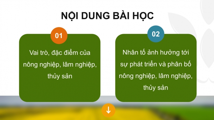 Giáo án điện tử địa lí 10 chân trời bài 25: Vai trò, đặc điểm, các nhân tố ảnh hưởng tới sự phát triển và phân bố nông nghiệp, lâm nghiệp, thủy sản