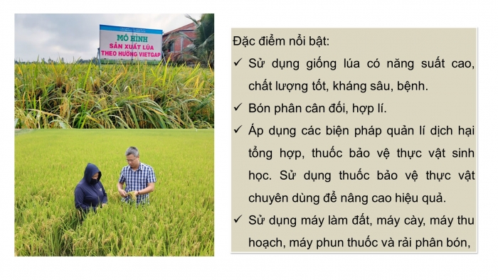 Giáo án điện tử chuyên đề Công nghệ trồng trọt 10 cánh diều Bài 12: Một số mô hình trồng trọt theo tiêu chuẩn VietGAP