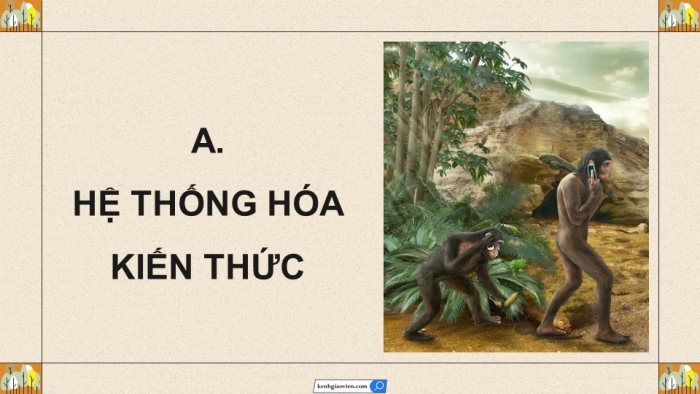 Giáo án điện tử KHTN 9 cánh diều - Phân môn Sinh học Bài tập (Chủ đề 12)
