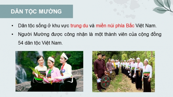 Giáo án điện tử Lịch sử 10 cánh diều Bài 14: Các dân tộc trên đất nước Việt Nam (P1)