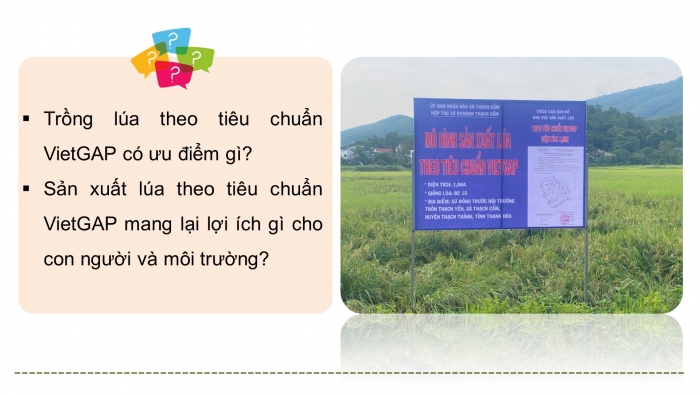 Giáo án điện tử chuyên đề Công nghệ trồng trọt 10 cánh diều Bài 12: Một số mô hình trồng trọt theo tiêu chuẩn VietGAP