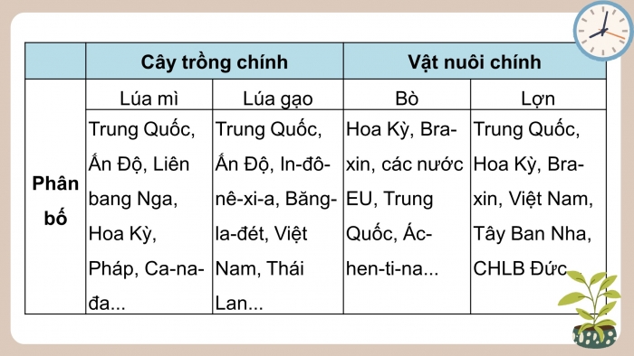 Giáo án điện tử địa lí 10 chân trời bài 28: Thực hành tìm hiểu sự phát triển và phân bố ngành nông nghiệp, lâm nghiệp, thủy sản