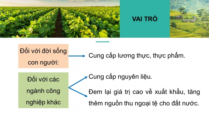 Giáo án điện tử địa lí 10 chân trời bài 25: Vai trò, đặc điểm, các nhân tố ảnh hưởng tới sự phát triển và phân bố nông nghiệp, lâm nghiệp, thủy sản