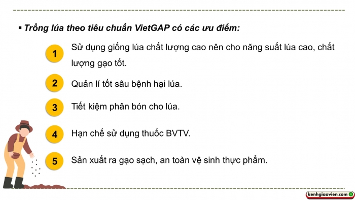 Giáo án điện tử chuyên đề Công nghệ trồng trọt 10 cánh diều Bài 12: Một số mô hình trồng trọt theo tiêu chuẩn VietGAP
