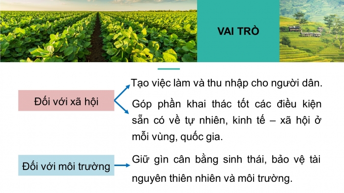 Giáo án điện tử địa lí 10 chân trời bài 25: Vai trò, đặc điểm, các nhân tố ảnh hưởng tới sự phát triển và phân bố nông nghiệp, lâm nghiệp, thủy sản