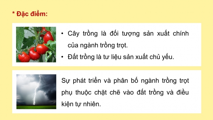 Giáo án điện tử địa lí 10 chân trời bài 26: Địa lí ngành nông nghiệp, lâm nghiệp, thủy sản