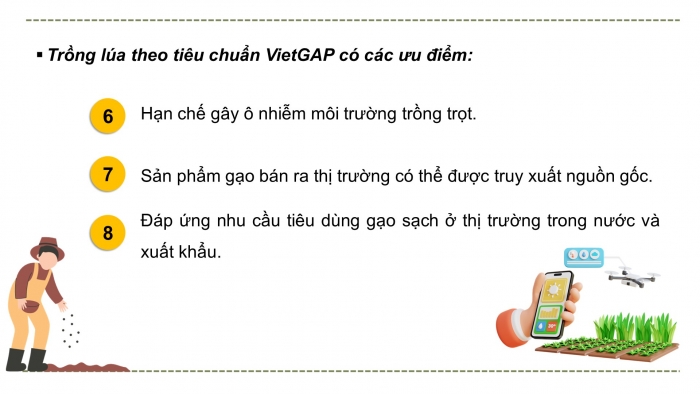Giáo án điện tử chuyên đề Công nghệ trồng trọt 10 cánh diều Bài 12: Một số mô hình trồng trọt theo tiêu chuẩn VietGAP