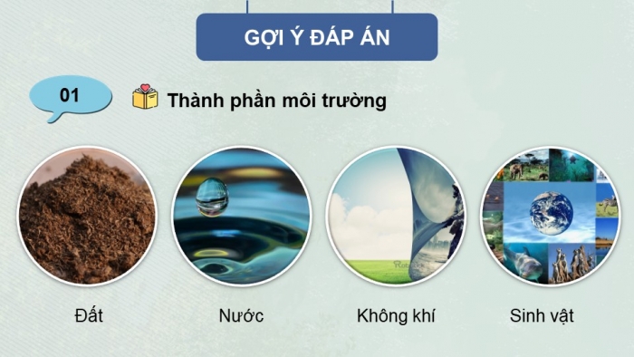Giáo án điện tử Quốc phòng an ninh 11 kết nối Bài 4: Một số vấn đề về vi phạm pháp luật bảo vệ môi trường