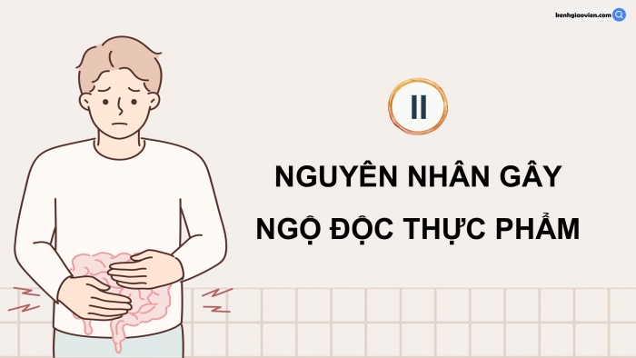 Giáo án điện tử chuyên đề Sinh học 11 kết nối Bài 10: Ngộ độc thực phẩm