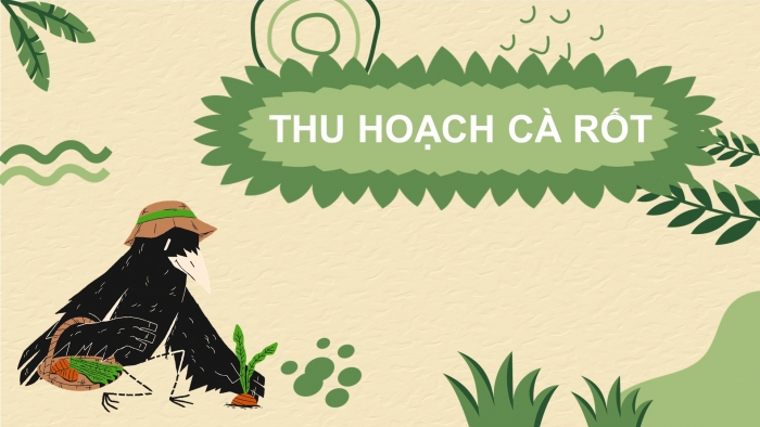 Trò chơi khởi động Lịch sử 6 chân trời Bài 18: Các cuộc đấu tranh giành độc lập dân tộc trước thế kỉ X