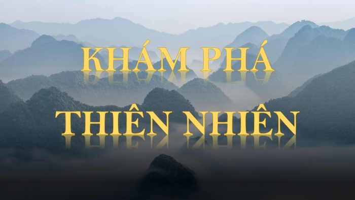 Trò chơi khởi động Địa lí 6 cánh diều Bài 22: Sự đa dạng của thế giới sinh vật. Các đới thiên nhiên trên Trái Đất. Rừng nhiệt đới