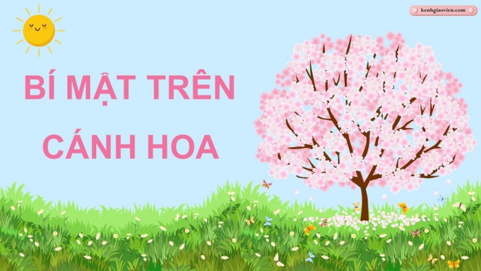Trò chơi khởi động Địa lí 6 kết nối Bài 5: Lược đồ trí nhớ
