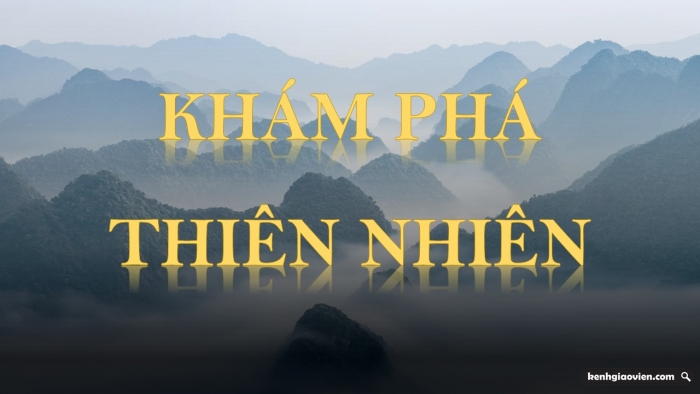 Trò chơi khởi động Địa lí 6 kết nối Bài 23: Sự sống trên Trái Đất