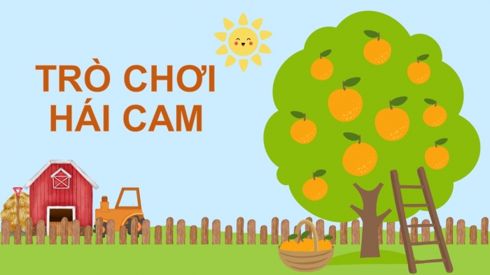Trò chơi khởi động Địa lí 6 kết nối Bài 24: Rừng nhiệt đới