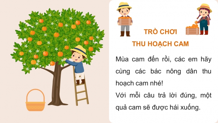 Trò chơi khởi động Lịch sử 6 chân trời Bài 13: Giao lưu thương mại và văn hoá ở Đông Nam Á từ đầu Công nguyên đến thế kỉ X