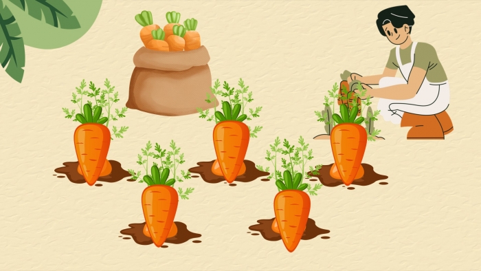 Trò chơi khởi động Lịch sử 6 chân trời Bài 18: Các cuộc đấu tranh giành độc lập dân tộc trước thế kỉ X