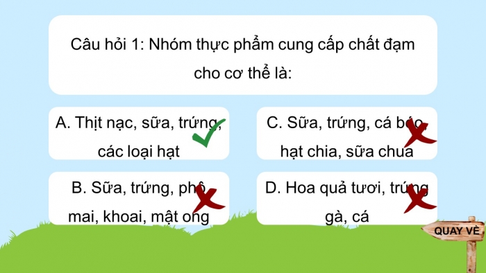 Trò chơi khởi động Công nghệ 6 kết nối Ôn tập Chương II