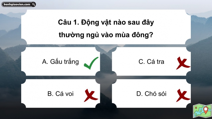 Trò chơi khởi động Địa lí 6 kết nối Bài 23: Sự sống trên Trái Đất