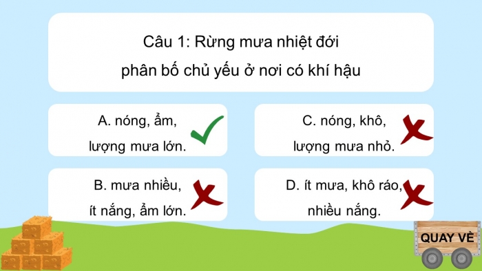 Trò chơi khởi động Địa lí 6 kết nối Bài 24: Rừng nhiệt đới