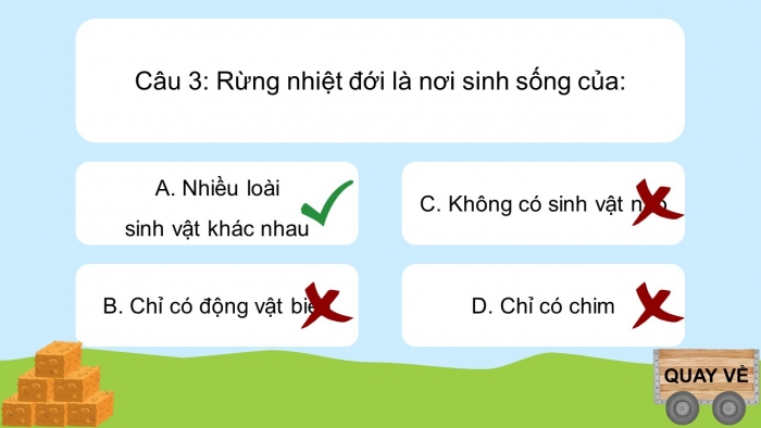 Trò chơi khởi động Địa lí 6 kết nối Bài 24: Rừng nhiệt đới