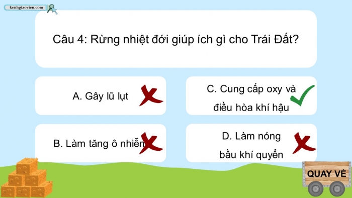 Trò chơi khởi động Địa lí 6 kết nối Bài 24: Rừng nhiệt đới
