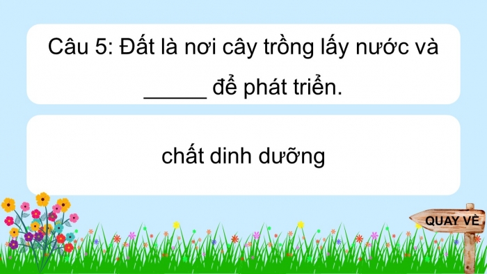 Trò chơi khởi động Địa lí 6 chân trời Bài 19: Lớp đất và các nhân tố hình thành đất. Một số nhóm đất điển hình