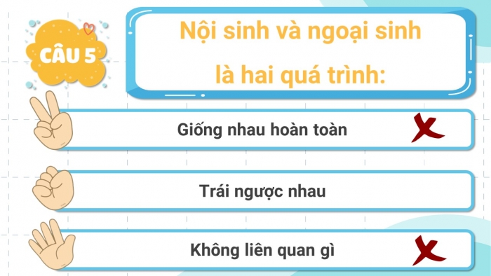 Trò chơi khởi động Địa lí 6 kết nối Bài 11: Quá trình nội sinh và quá trình ngoại sinh. Hiện tượng tạo núi