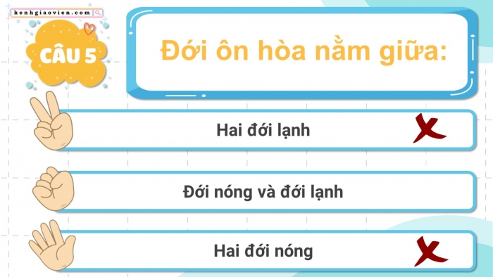 Trò chơi khởi động Địa lí 6 kết nối Bài 25: Sự phân bố các đới thiên nhiên trên Trái Đất