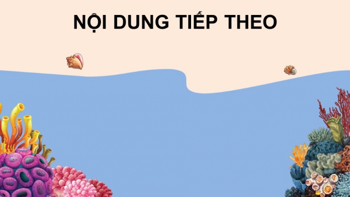 Trò chơi khởi động Tin học 7 kết nối Bài 7: Tính toán tự động trên bảng tính