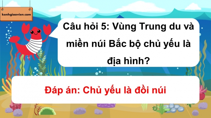 Trò chơi khởi động Lịch sử Địa lí 4 kết nối Bài 29: Ôn tập