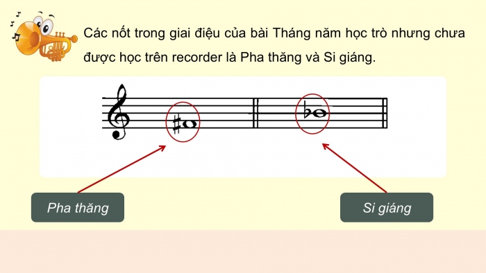 Giáo án điện tử Âm nhạc 9 kết nối Tiết 33: Nhạc cụ Recorder hoặc kèn phím