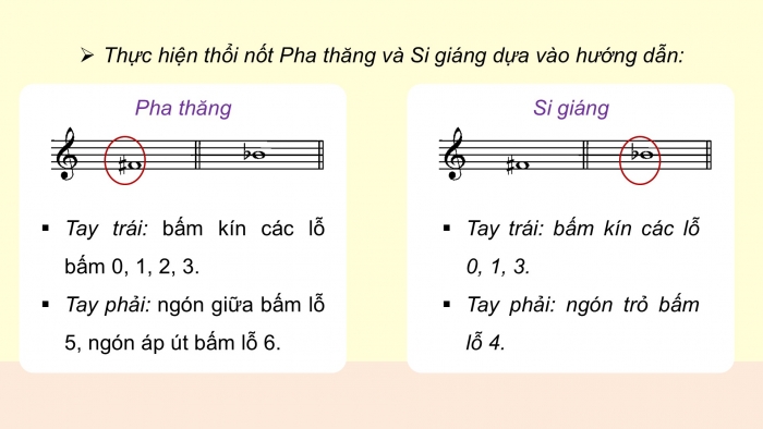 Giáo án điện tử Âm nhạc 9 kết nối Tiết 33: Nhạc cụ Recorder hoặc kèn phím