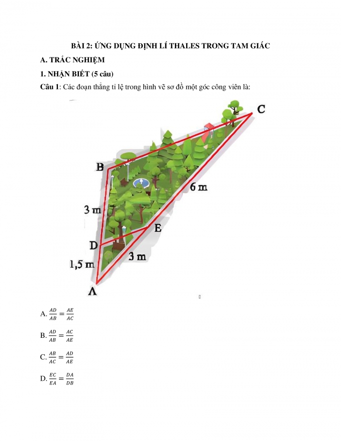 Phiếu trắc nghiệm Toán 8 cánh diều Chương 8 Bài 2: Ứng dụng của định lí Thalès trong tam giác