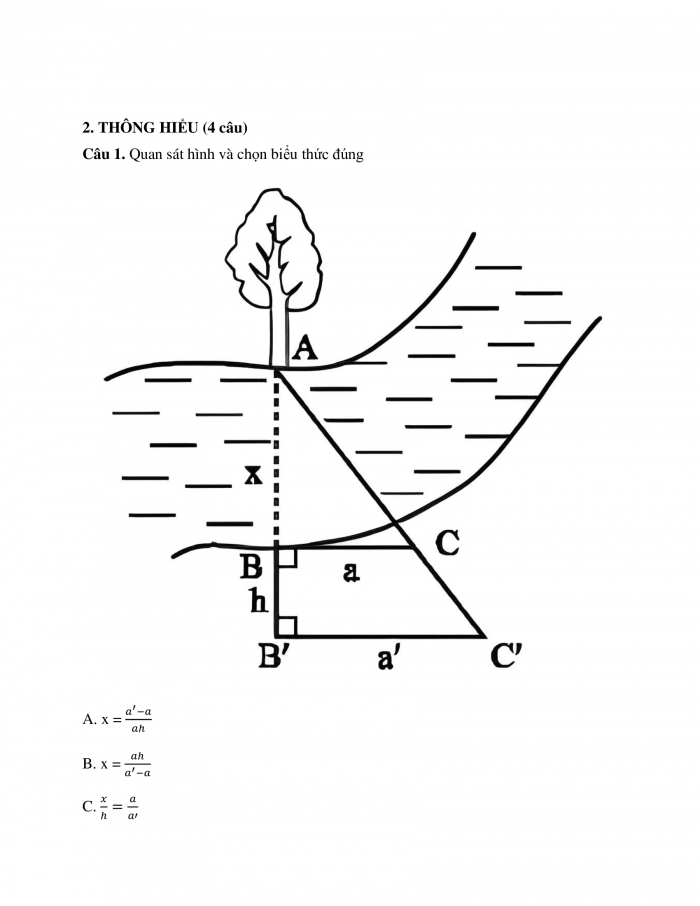 Phiếu trắc nghiệm Toán 8 cánh diều Chương 8 Bài 2: Ứng dụng của định lí Thalès trong tam giác