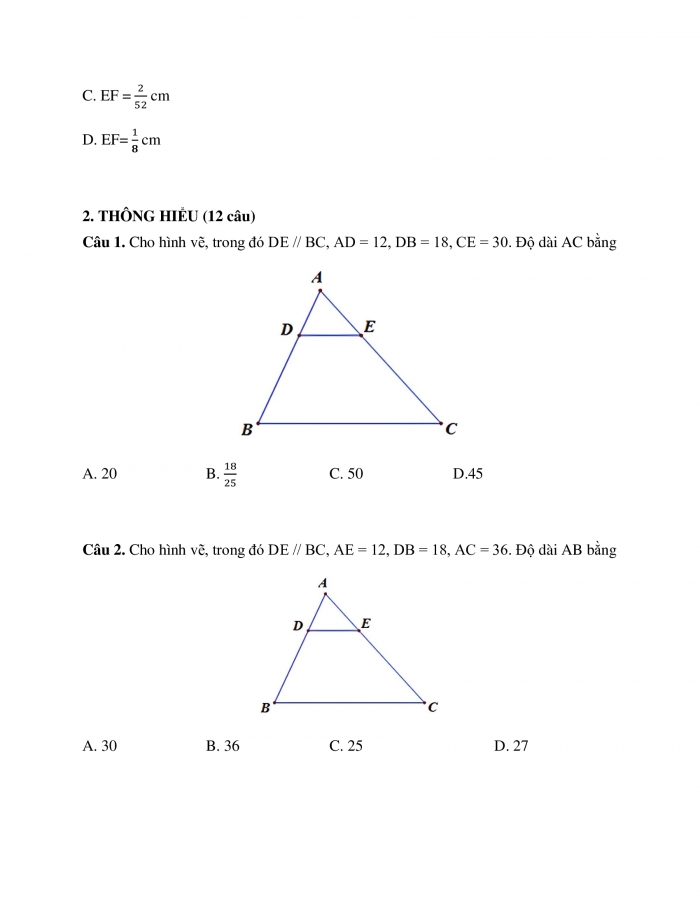 Phiếu trắc nghiệm Toán 8 cánh diều Chương 8 Bài 1: Định lí Thalès trong tam giác