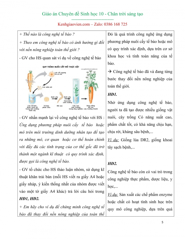 Giáo án chuyên đề sinh học 10 chân trời sáng tạo