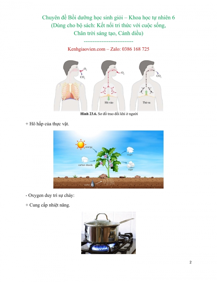 Giáo án bồi dưỡng học sinh giỏi KHTN 6
