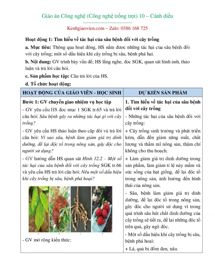 Giáo án công nghệ 10 - Công nghệ trồng trọt cánh diều (bản word)