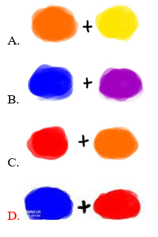 Trắc nghiệm mĩ thuật 3 cánh diều CĐ1 bài 1: Những màu sắc khác nhau