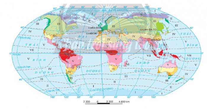 Trắc nghiệm địa lí 10 cánh diều Bài 9: thực hành: đọc bản đồ các đới và kiểu khí hậu trên trái đất, phân tích biểu đồ một số kiểu khí hậu