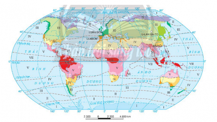 Trắc nghiệm địa lí 10 cánh diều Bài 9: thực hành: đọc bản đồ các đới và kiểu khí hậu trên trái đất, phân tích biểu đồ một số kiểu khí hậu